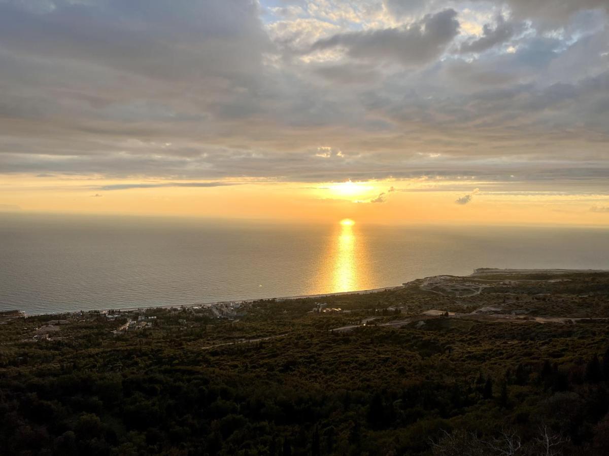 Palasa View Дермі Екстер'єр фото